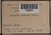 Image Associated With the Occurence
